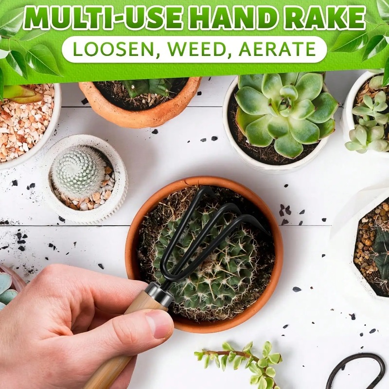 3PC/1Set Mini Tuingereedschap  - Indoor Herb Garden recensie en prijs