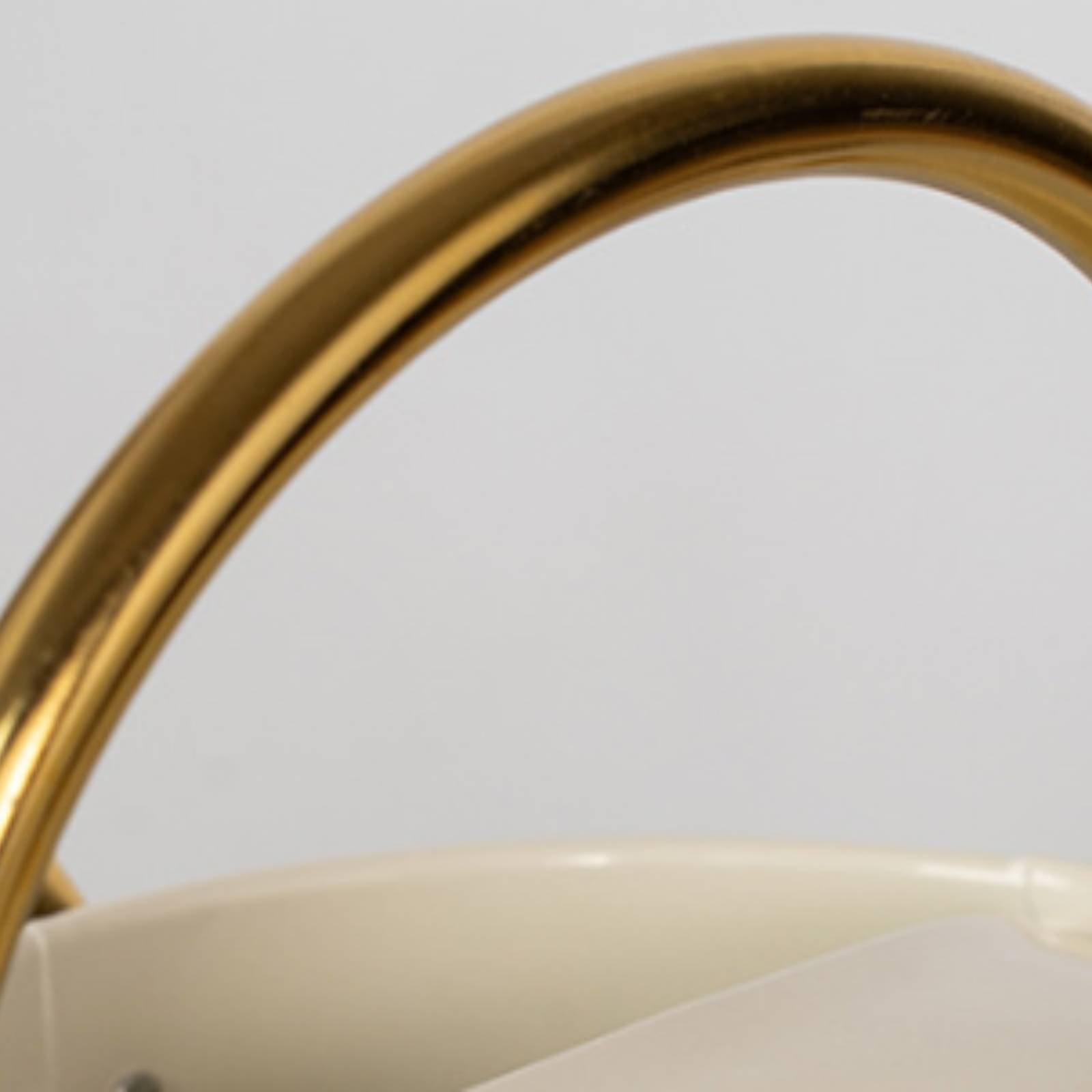 Gieter met lange uitloop, lekv - Watering Can recensie en prijs