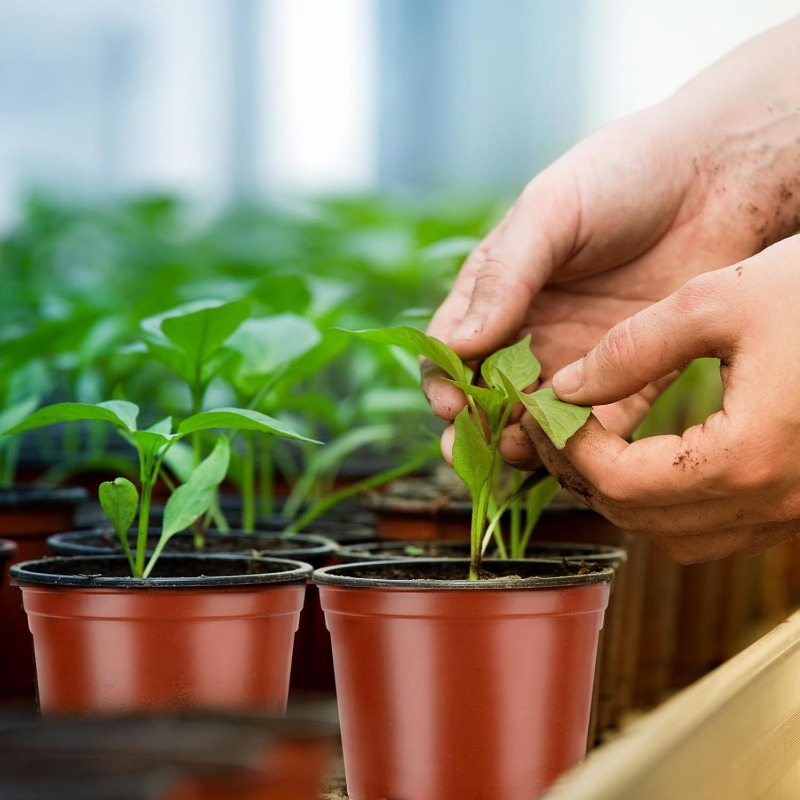 100/20x Zaai- en kweekpotten z - Seed Starter Tray recensie en prijs
