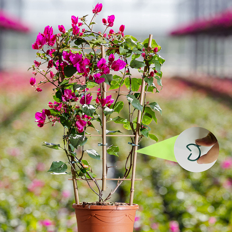 50/100 stuks Tuinplantclips Wi - Vertical Planter recensie en prijs