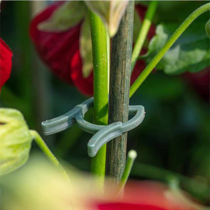 50/100 stuks Tuinplantclips Wi - Vertical Planter recensie en prijs