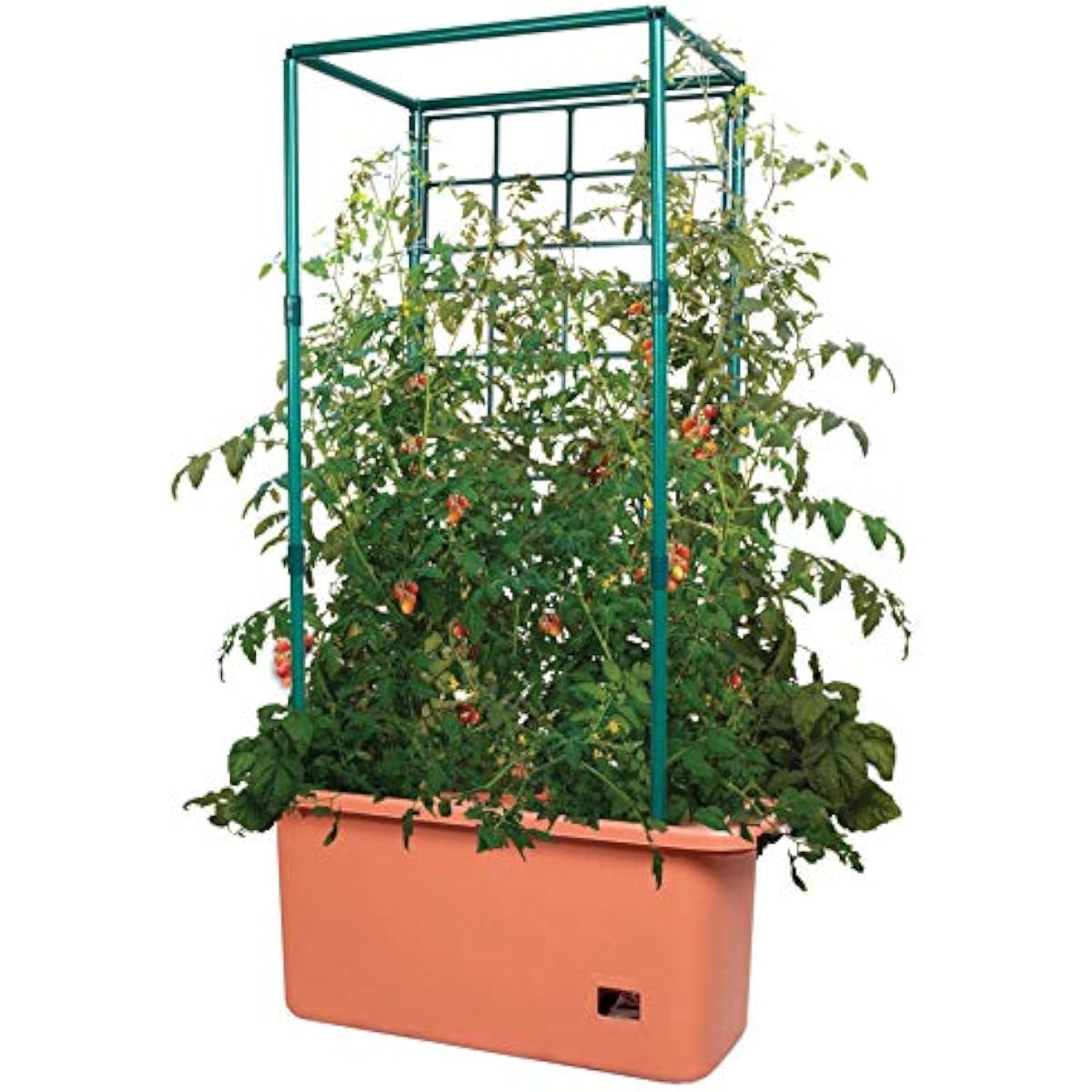 GCTR Tomatenkweeksysteem 10 Ga - Vertical Planter recensie en prijs