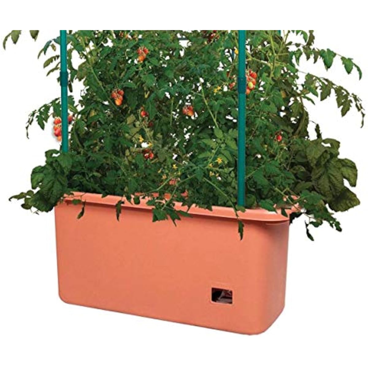 GCTR Tomatenkweeksysteem 10 Ga - Vertical Planter recensie en prijs