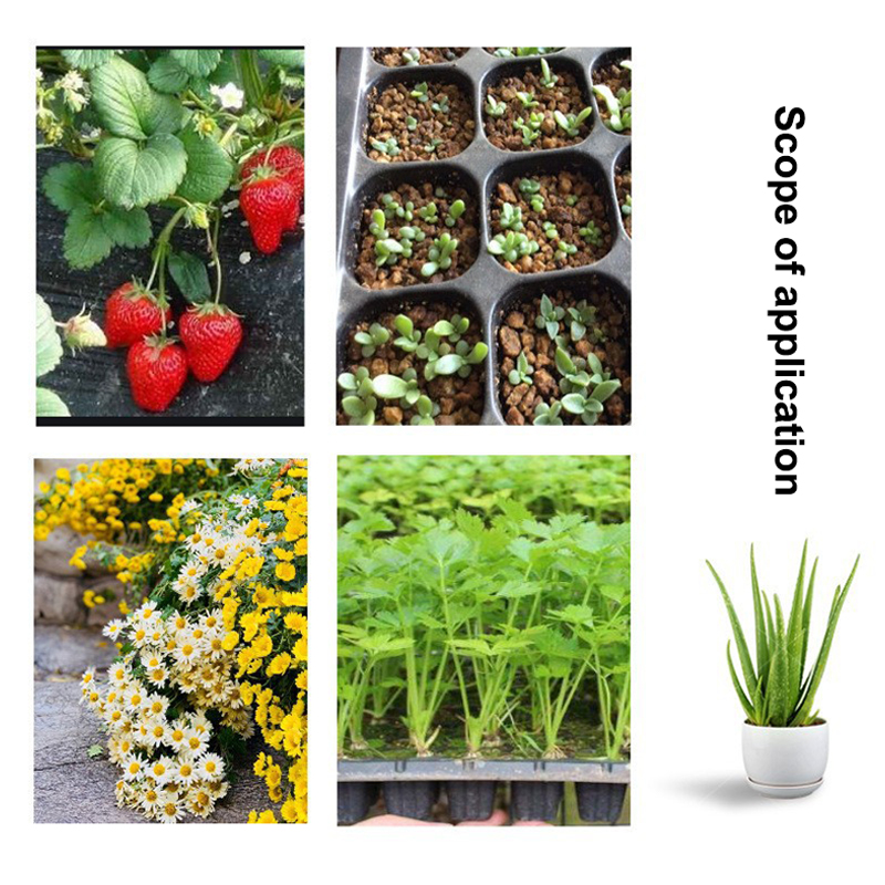 Hot 10 Stuks Zaailingen Trays  - Seed Starter Tray recensie en prijs