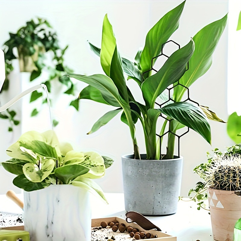 1PC honingraatdesign plantenro - Indoor Herb Garden recensie en prijs