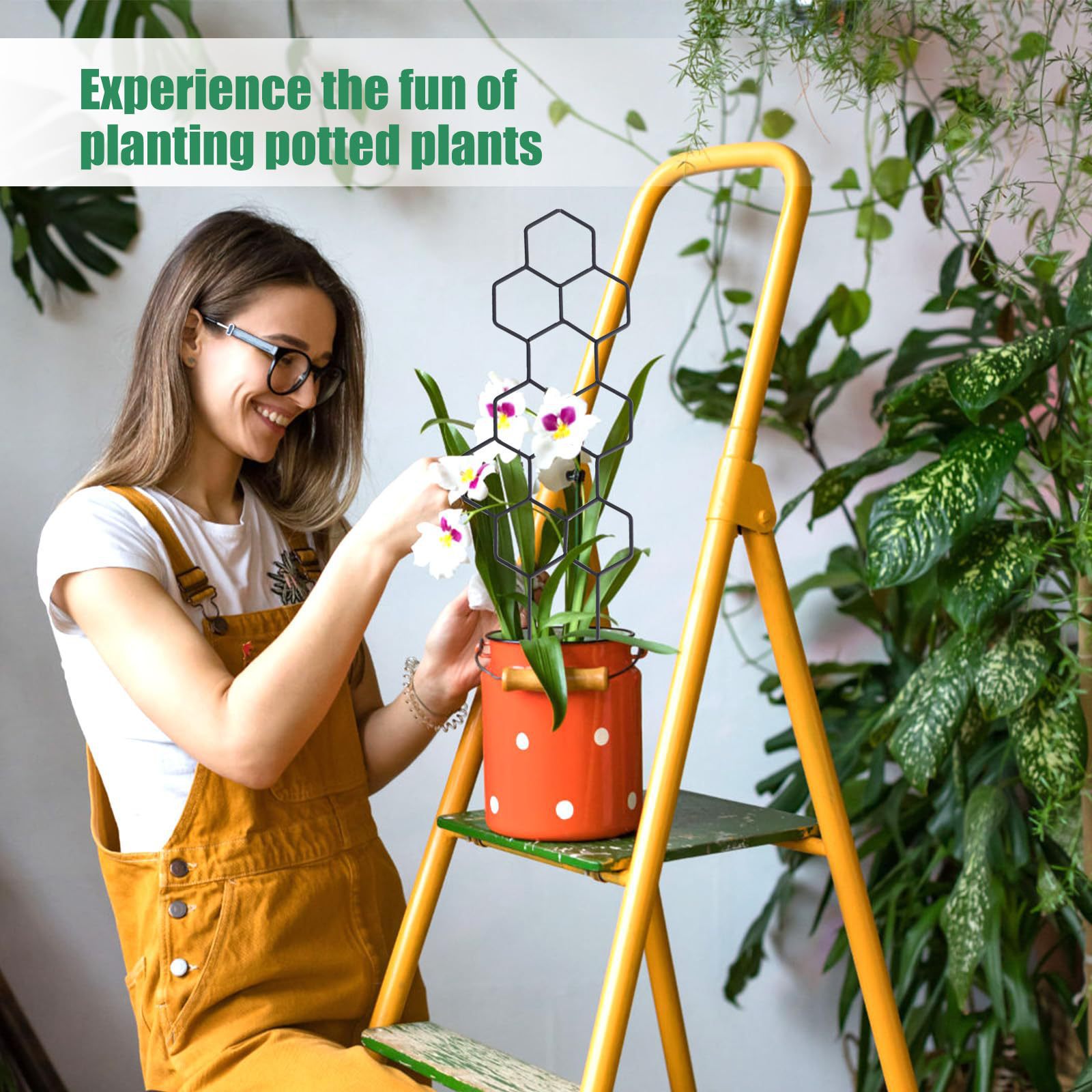 1PC honingraatdesign plantenro - Indoor Herb Garden recensie en prijs