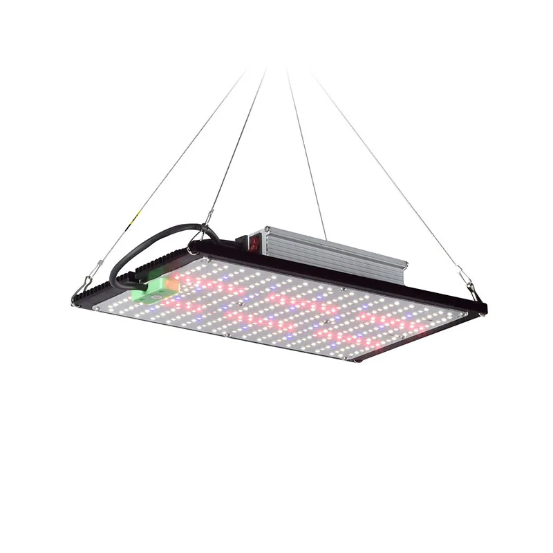 LED Quantum-Board Kweeklamp Vo - Grow Light Led recensie en prijs
