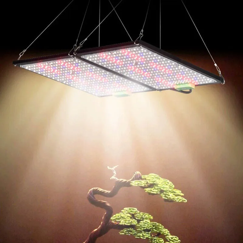 LED Quantum-Board Kweeklamp Vo - Grow Light Led recensie en prijs
