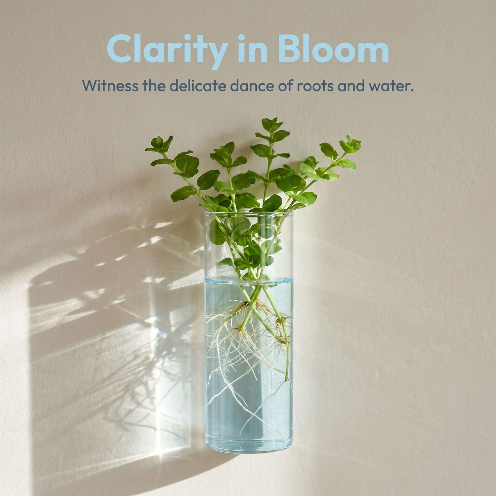 5 stuks wandplantbak cilindris - Vertical Planter recensie en prijs