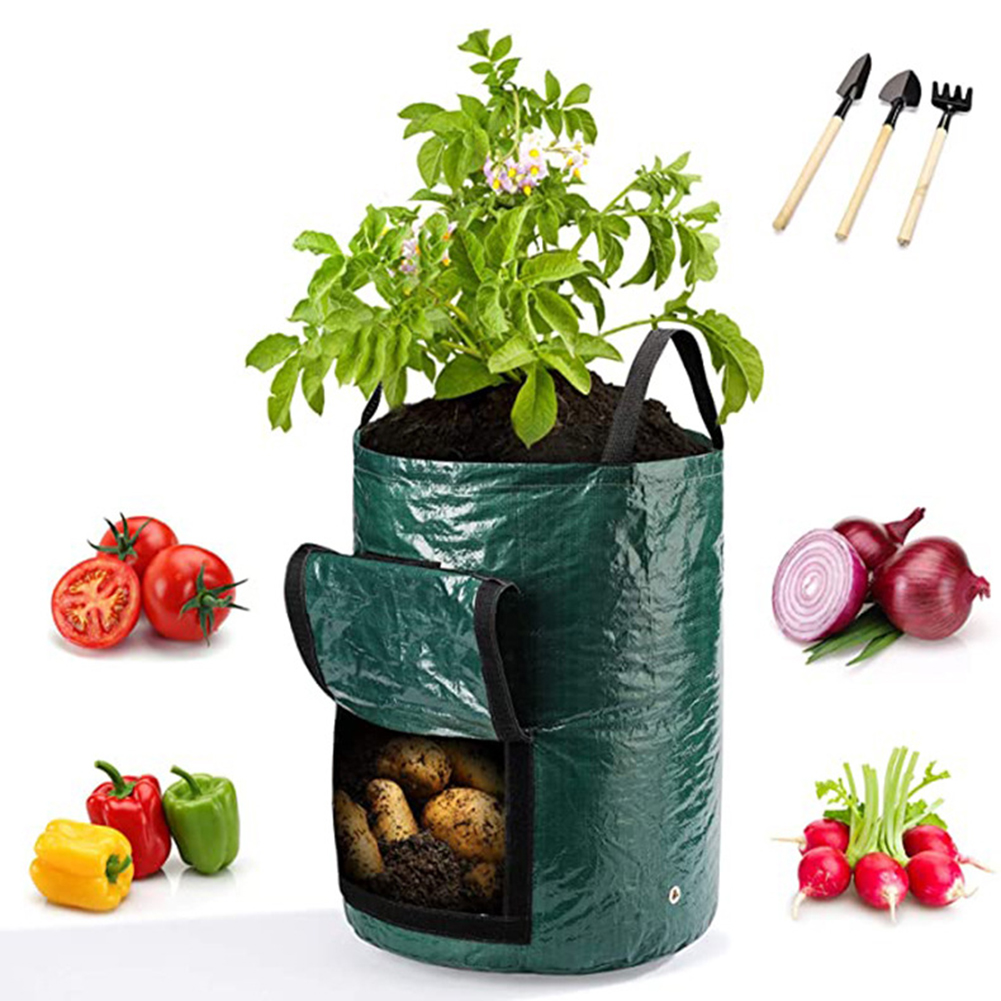 1pc 10-Gallon kweekzakken voor - Grow Bag recensie en prijs